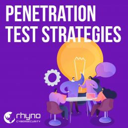 Penetration testing and cybersecurity strategies